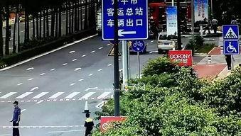 开平金山爆料事件最新,揭开背后惊人真相